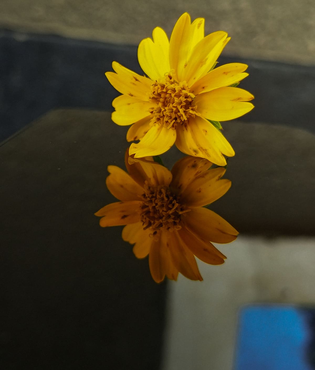 Random inspiration